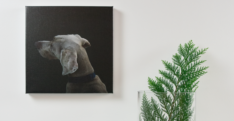 DIY-gift-guide-dog-canvas