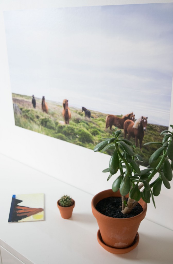 DIY wall art project- turn your favorite landscape photo into a life size wall decal with this how-to. -Impressed App