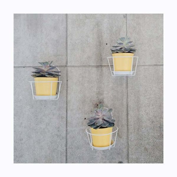 Concrete wall of pale yellow pots of succulents. Photo print by Instagrammer and Barcelona-based Pilar Franco Borrell.  This print and another 11 for sale on the Impressed Print Shop